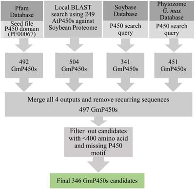 Comprehensive Analysis of Cytochrome P450 Monooxygenases Reveals Insight Into Their Role in Partial Resistance Against Phytophthora sojae in Soybean